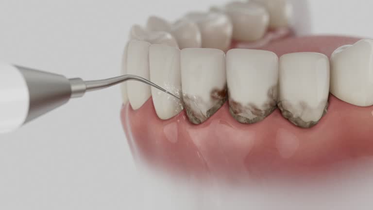 Reliable Dental contractor in Gig Harbor, WA by Dentist Open Now